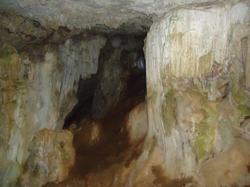 Cova Negra (Carcaixent) con perro en Valencia
