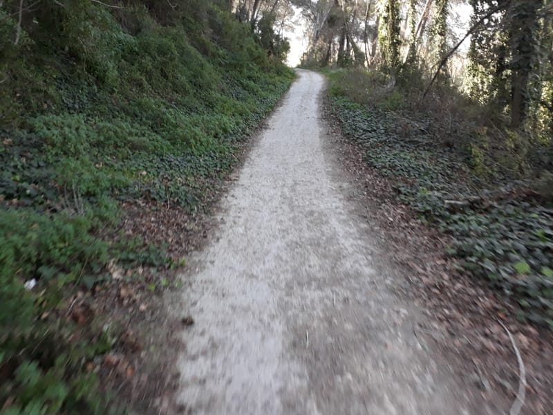 Río Turia – Manises a Vilamarxant con perro en Valencia