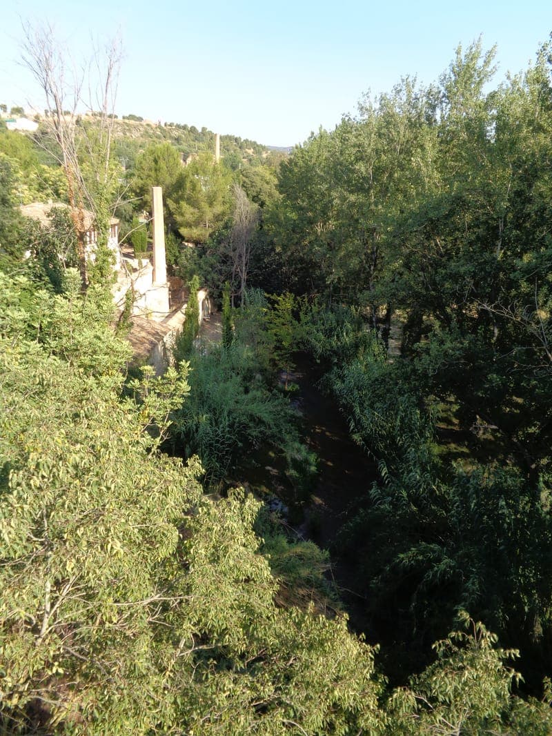 Buñol – Molino de la Luz – Alborache con perro en Valencia