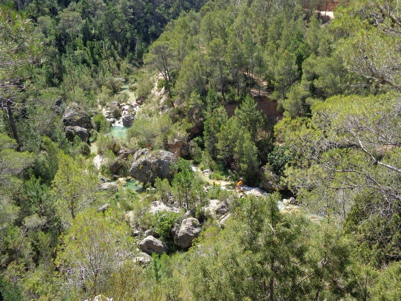 Descenso del Río Fraile (Cortes de Pallás) con perro en Valencia