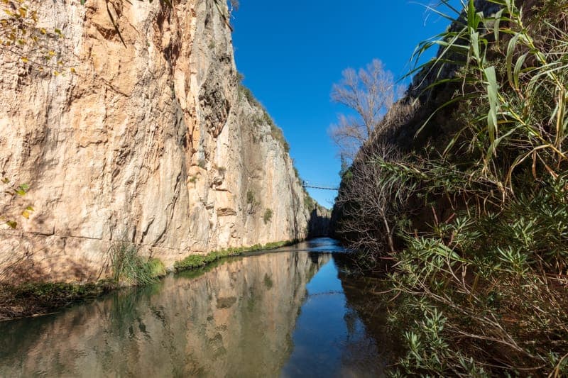 Puentes Colgantes de Chulilla con perro en Valencia