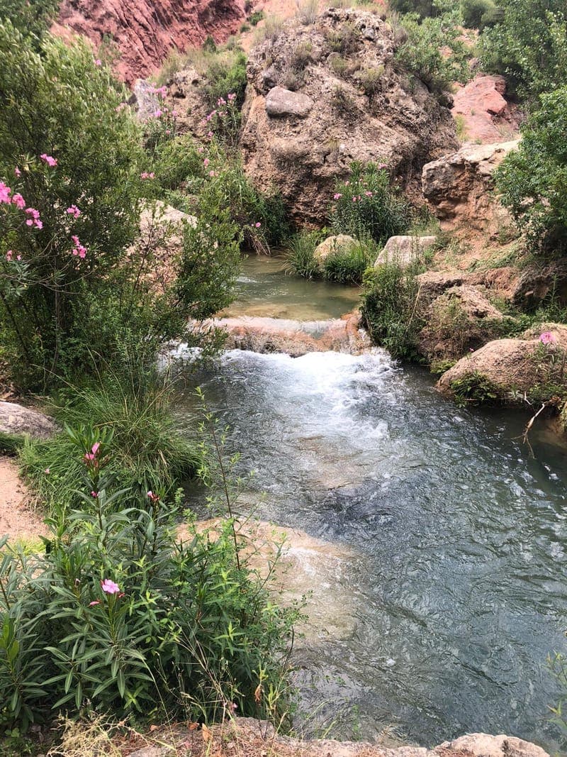 Ruta del Agua de Chelva con perro en Valencia