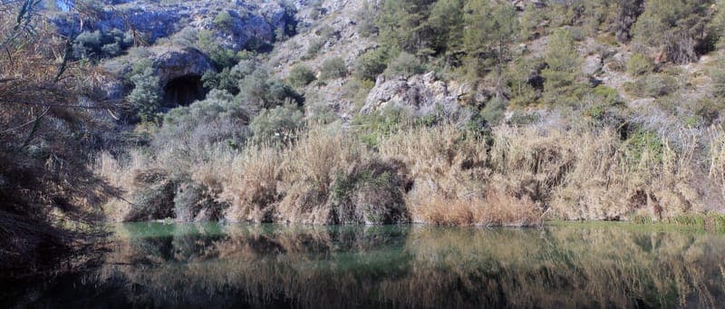 Xàtiva – Cova Negra – Bellús con perro en Valencia